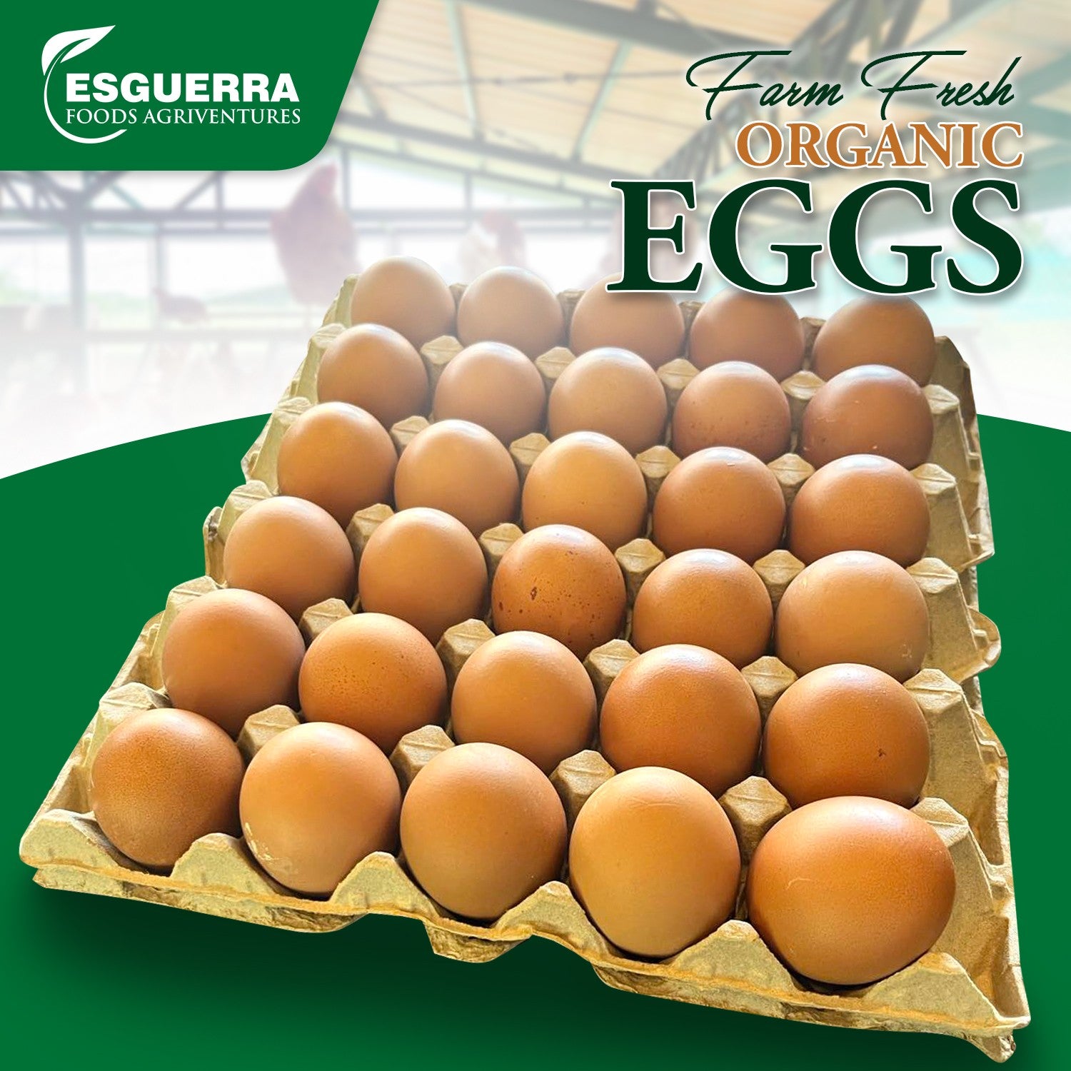 Farm Fresh Organic Eggs (1 Tray)
