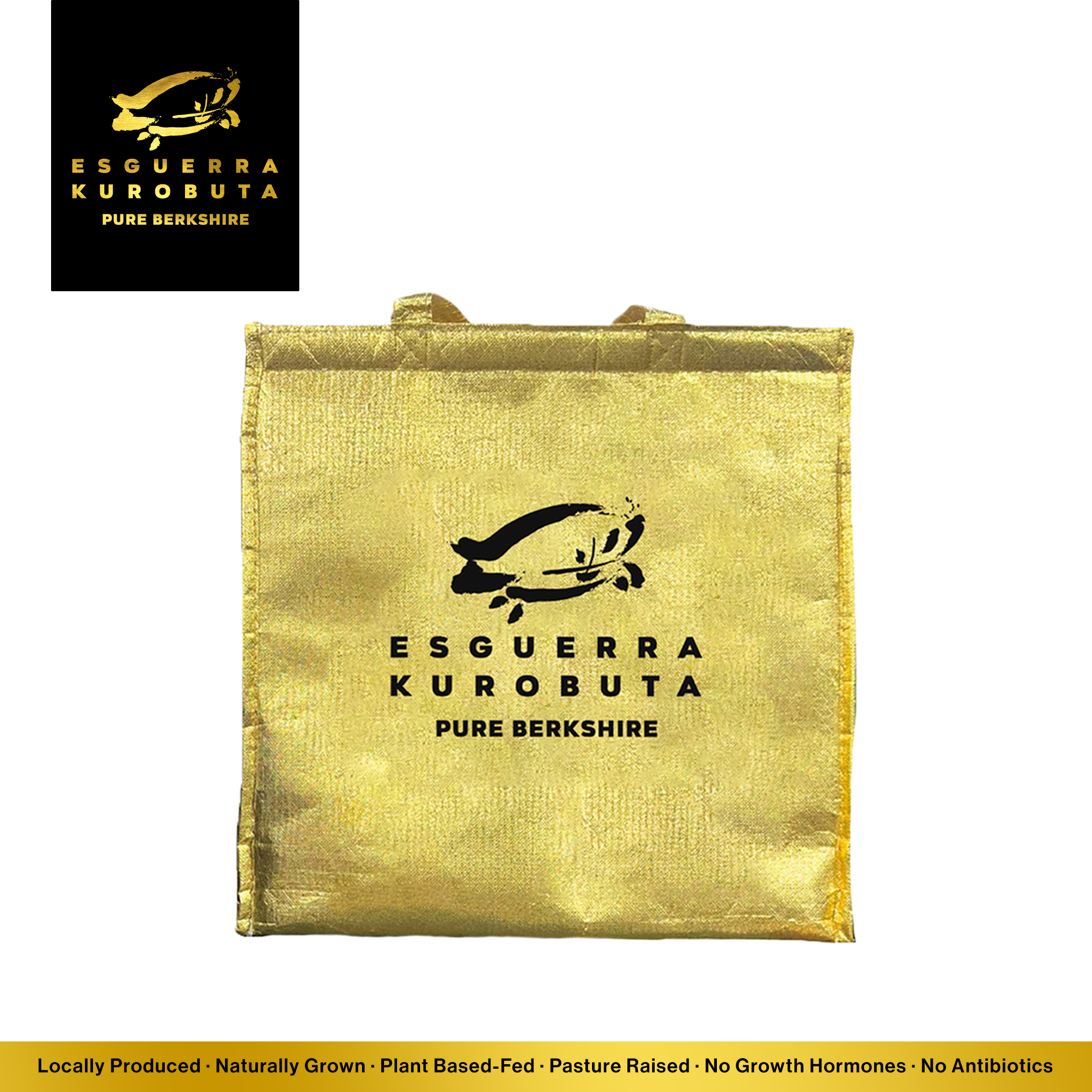 EK Insulated Gift Bag